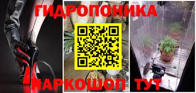 молекула духа Партизанск