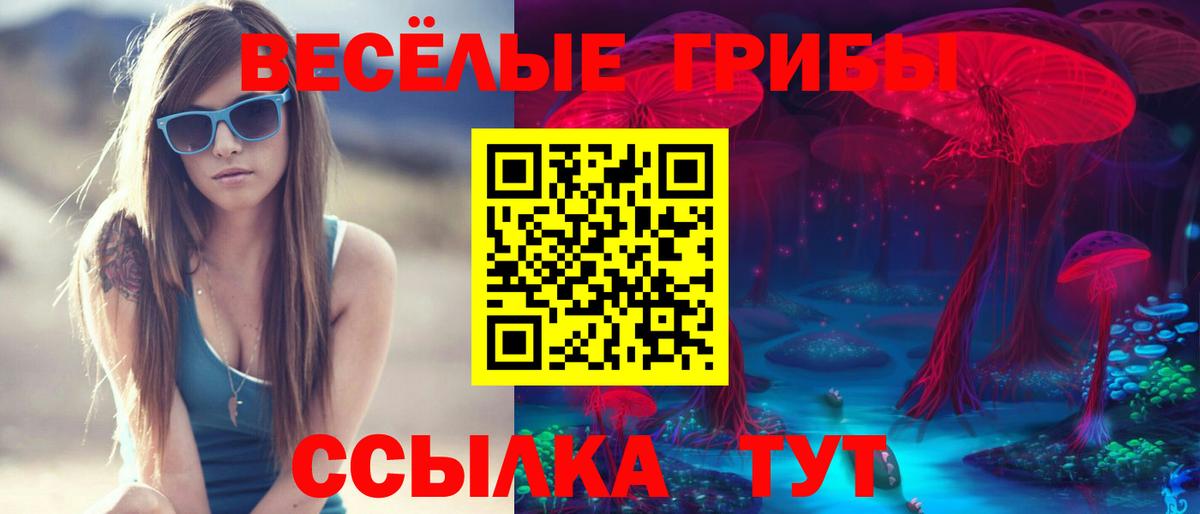 Кореновск  Галлюциногенные грибы Cubensis  Вход с VPN  Псилоцибиновые грибы Magic Shrooms 